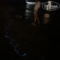 фото из отзыва ID 2687296