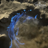 фото из отзыва ID 2687296