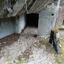 фото из отзыва ID 2687343