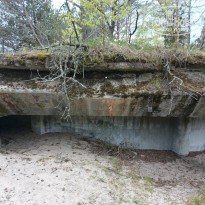 фото из отзыва ID 2687343