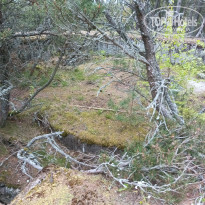 фото из отзыва ID 2687343