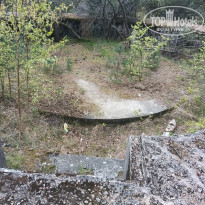 фото из отзыва ID 2687343