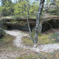 фото из отзыва ID 2687343