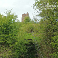 фото из отзыва ID 2687343