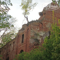 фото из отзыва ID 2687343