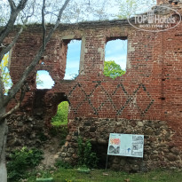 фото из отзыва ID 2687343