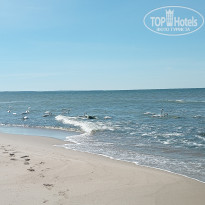 фото из отзыва ID 2687343