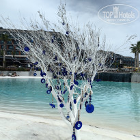 фото из отзыва ID 2687364