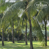 фото из отзыва ID 2687472