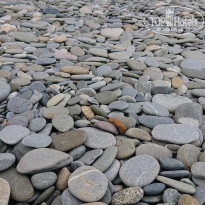 фото из отзыва ID 2687487