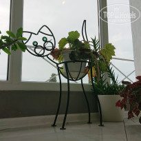 фото из отзыва ID 2687487