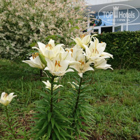 фото из отзыва ID 2687487