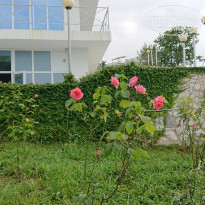 фото из отзыва ID 2687487