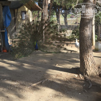 фото из отзыва ID 2687511