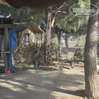 фото из отзыва ID 2687511