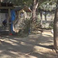 фото из отзыва ID 2687511