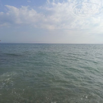 фото из отзыва ID 2687546