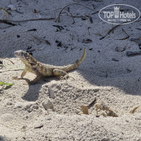 фото из отзыва ID 2687545