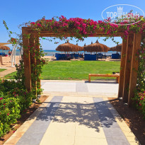 фото из отзыва ID 2687584