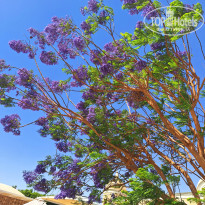 фото из отзыва ID 2687584