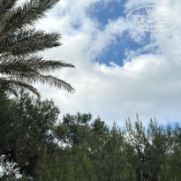 фото из отзыва ID 2687619