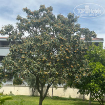 фото из отзыва ID 2687619