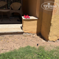 фото из отзыва ID 2687682