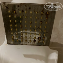 фото из отзыва ID 2687682