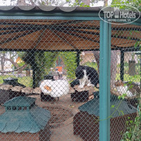 фото из отзыва ID 2687697