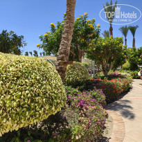 фото из отзыва ID 2687713