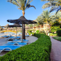 фото из отзыва ID 2687715