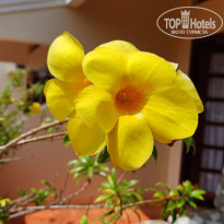фото из отзыва ID 2687744