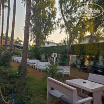 фото из отзыва ID 2687726