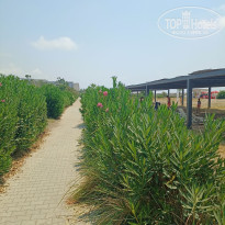 фото из отзыва ID 2687726