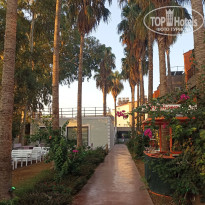 фото из отзыва ID 2687726