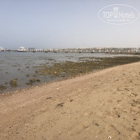 фото из отзыва ID 2687767