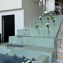 фото из отзыва ID 2687856