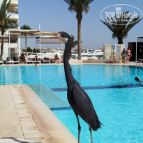 фото из отзыва ID 2687869