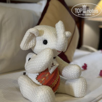 фото из отзыва ID 2687868