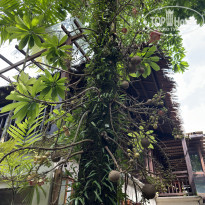 фото из отзыва ID 2687868