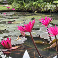 фото из отзыва ID 2687868