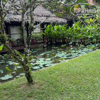 фото из отзыва ID 2687868