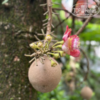 фото из отзыва ID 2687868