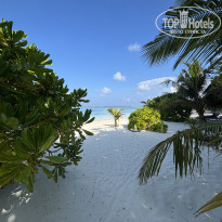 фото из отзыва ID 2687912