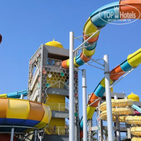 фото из отзыва ID 2687948