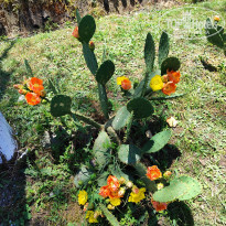 фото из отзыва ID 2687961