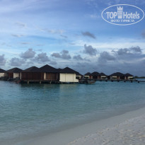 фото из отзыва ID 2687987