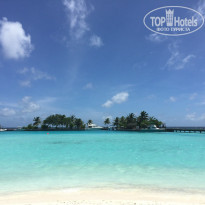 фото из отзыва ID 2687987