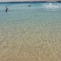 фото из отзыва ID 2688013