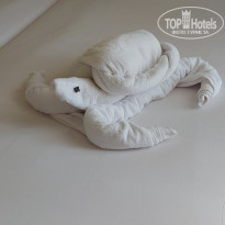 фото из отзыва ID 2688038